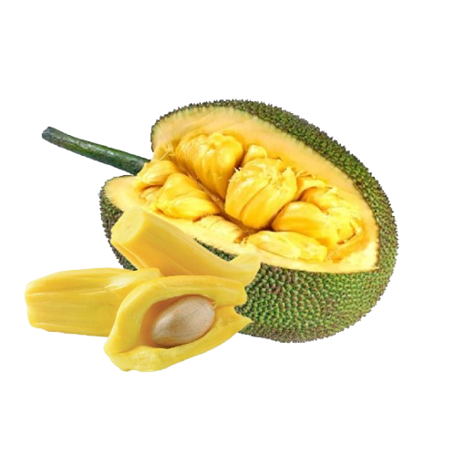 jackfruit-removebg-preview